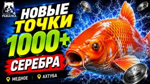 🤑 ТОП-3 ТОЧКИ ФАРМА и РАЗДАЧИ ТРОФОВ РР4 (13.08)! СВОДКА по ВОДОЕМАМ! МЕДНОЕ • АХТУБА