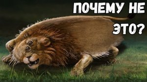 Почему 99% Животных Симметричны