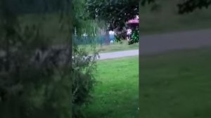 Троицкая травля