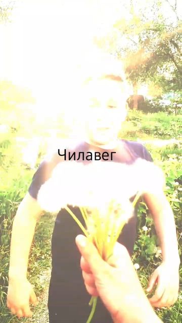 я и моё творчество