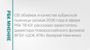 Насколько качественный урожай пшеницы удалось собрать кубанским аграриям? || РБК Мнение
