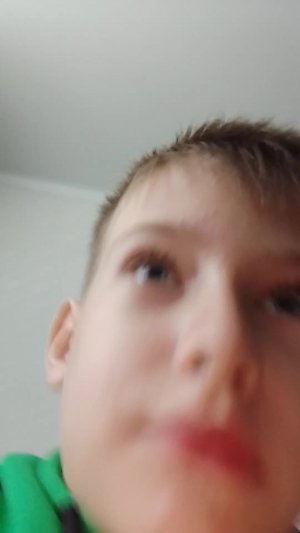 хомяк