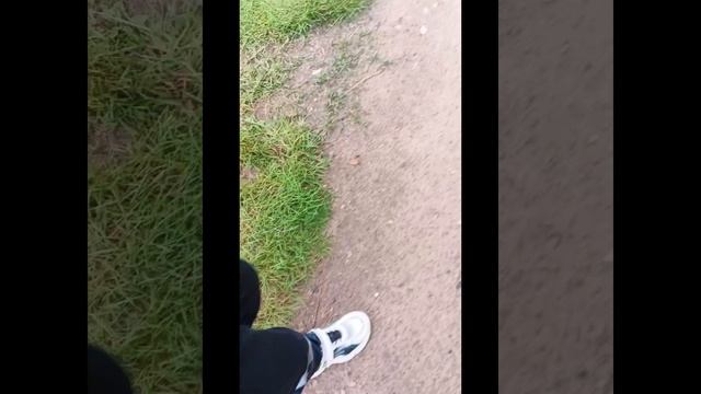 🍀 Шагаем / Пилотная Серия