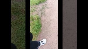 🍀 Шагаем / Пилотная Серия