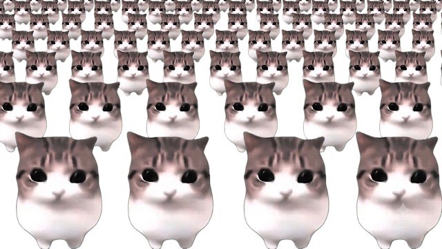 Dam Dam Didi Didi Cat Meme X100000000000000