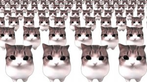 Dam Dam Didi Didi Cat Meme x100000000000000