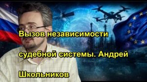 Вызов независимости судебной системы. Андрей Школьников