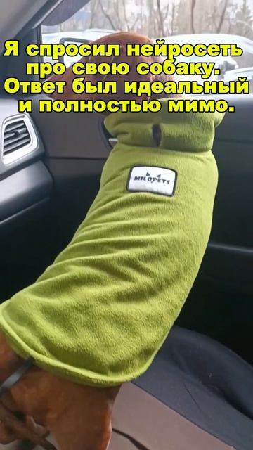 Ответ НС CLAUDE мимо
