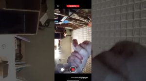 ролдж