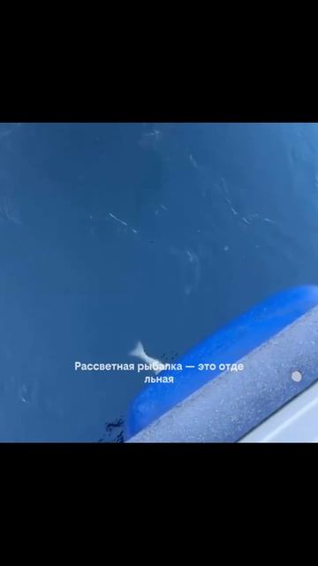 Улов, ради которого не жалко ранних подъёмов