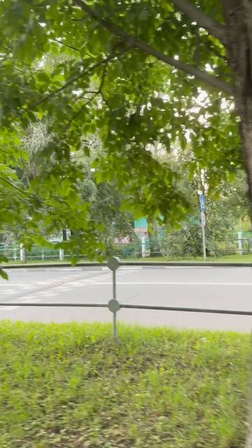 Знакомые виды и маленькие открытия: гуляем по улице Спортивная