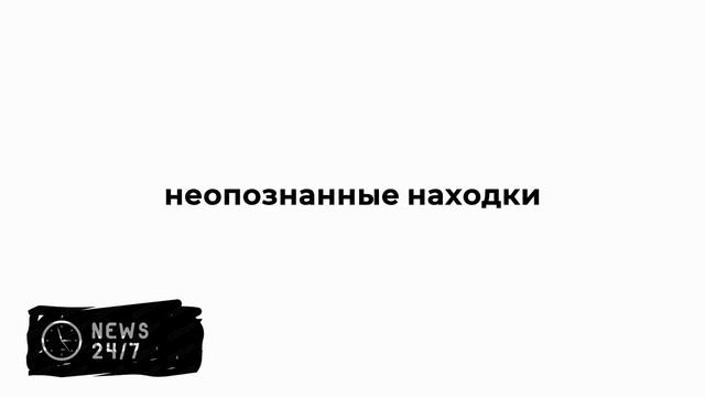 Метод специалистов из РФ поможет идентифицировать останки исторических личностей