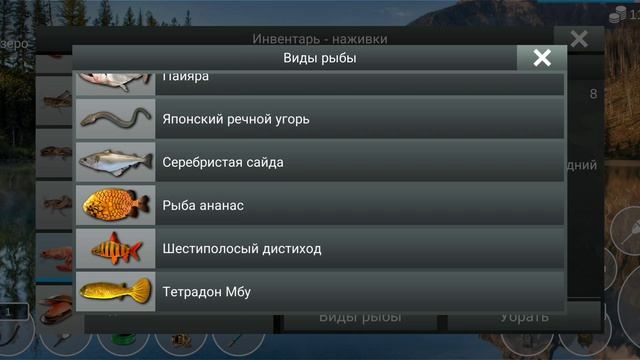 как поймать рыбу вырезуб в игре My Fishing 🎣 World