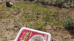 И под каждым мне кустом, был готов ...и стол ...и дом