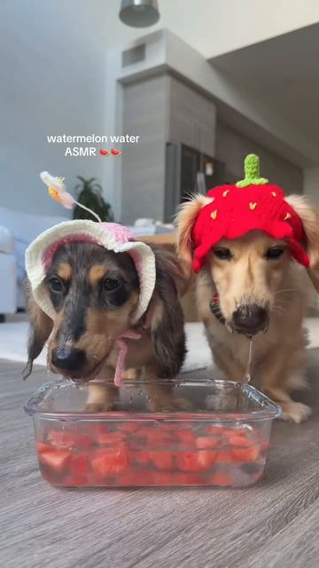 асмр на ночь ❤️❤️❤️