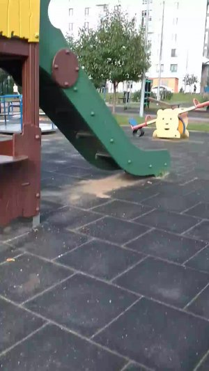 челендж слепой гном