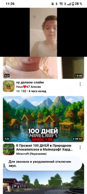 мои винтовки