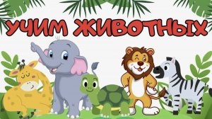 Домашние животные и их детеныши Развивающие мультики для детей