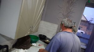 Легкий перекус по рецепту Василича Ответы на комментарии Подвал Ильича