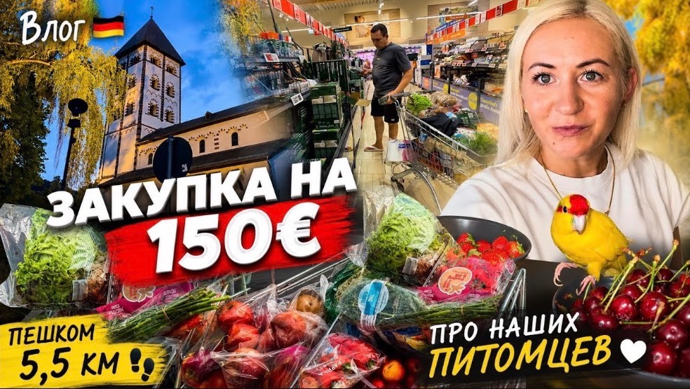 Влог 🇩🇪     ЗАКУПКА НА 150€ 🛒 Пешком 5,5 км! ✔️ наши любимые питомцы ✔️ семейная прогулка