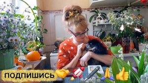 🚀🖋️⁉️‼️⁉️  У КАЖДОГО СВОЯ СУДЬБА 💃🔥МОИ БУДНИ 🚀🖋️