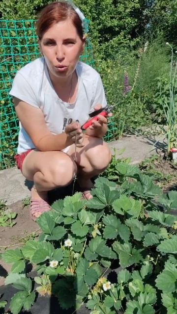 Обрезка усов