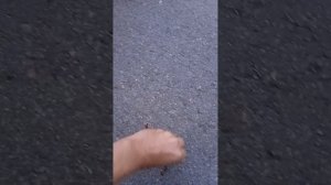 20260813_195558