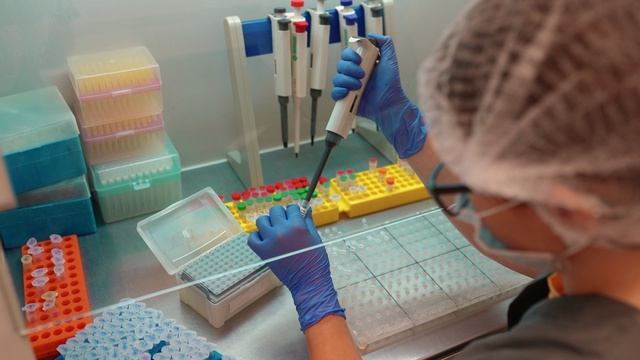 Сеть ветеринарных клиник БИОВЕТ
