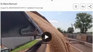 ‼️🇺🇦🌾«Доход иссяк. Экспорта нет»: морская блокада убивает украинское сельское хозяйство, - Reuter
