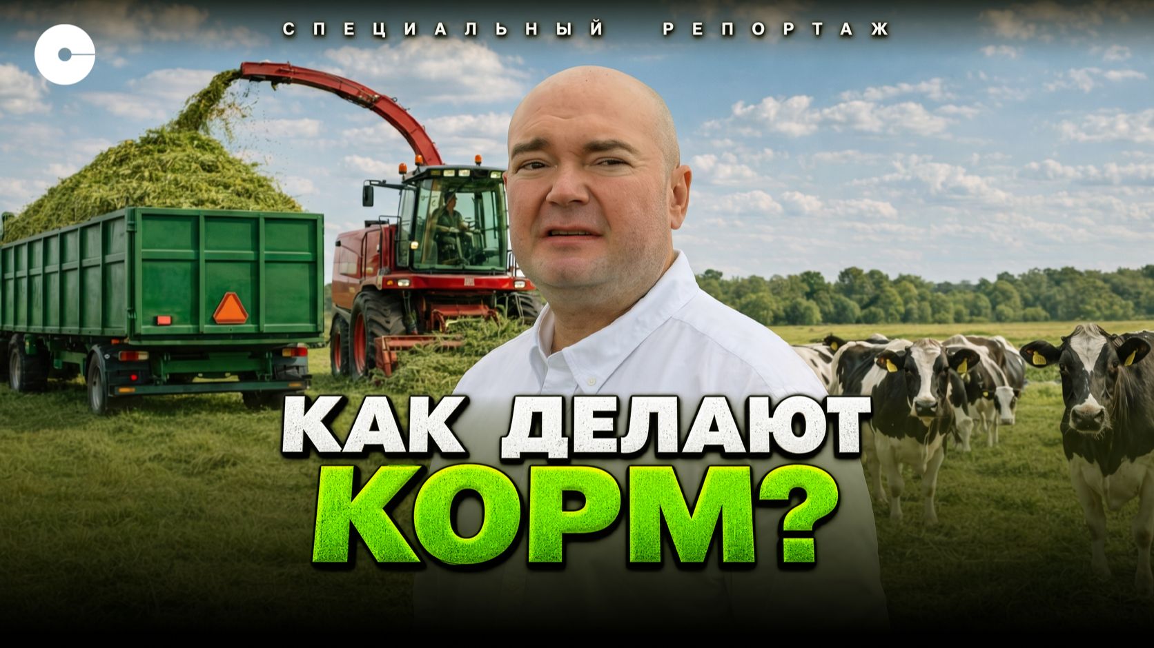 Что на самом деле едят коровы? Секреты кормозаготовки