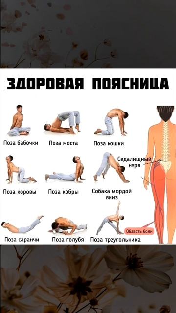 Здоровая поясница