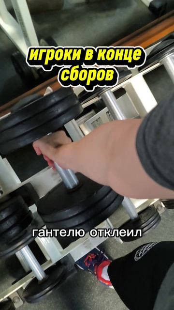 РИЛСЫ