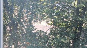 ИРИНА АЛЛЕГРОВА «УГОНЩИЦА» на синтезаторе Ямаха 710.
