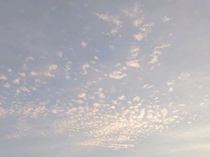 одежда для куклы из носка
