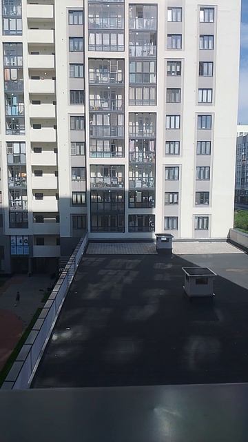 Wiscur ворон