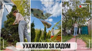 Подрезаю деревья на даче | Ежедневная уборка | У нас сдуло умывальник - ВЛОГ №4031 - 12.08.26