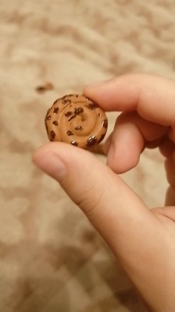 пластилиновая еда 👍Доставка по Самаре