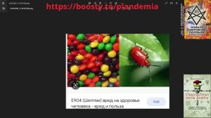 Вадим Шегалов Мы действительно уже давно едим насекомых! Е904 и Е120 Не халяль для мусульман