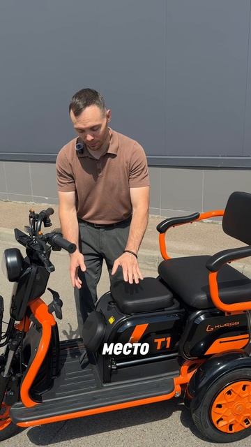 Трицикл KUGOO T1