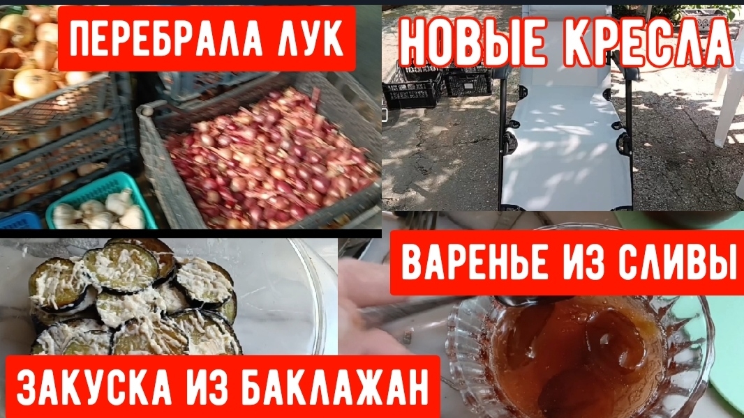 329🌹Нам хватит/Перебрала лук/Готовлю баклажаны/Купили кресла/Заморозила сливу/Едим свой виноград