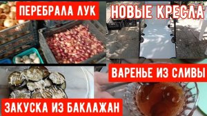 329🌹Нам хватит/Перебрала лук/Готовлю баклажаны/Купили кресла/Заморозила сливу/Едим свой виноград