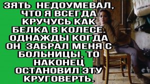 Зять недоумевал, что я всегда кручусь как белка в колесе | Истории из жизни | Реальные истории