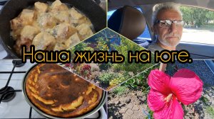 13-08-2026/ Творожная запеканка/ Новые очки мужу/ Закупочка/ Жареный минтай/Живём на Кубани/