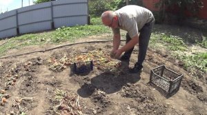 ЖИВЕМ В ДЕРЕВНЕ! В ОГОРОДЕ СОБИРАЕТСЯ УРОЖАЙ, А НА КУХНЕ УРОЖАЙ ПЕРЕРАБАТЫВАЕТСЯ!