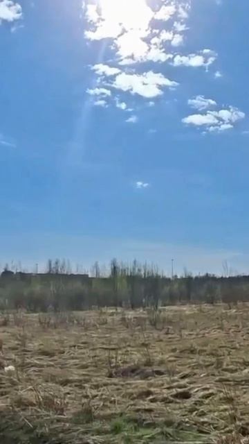 Муринская дорога
