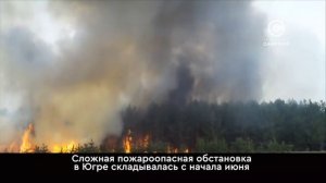В Югре ликвидировали все лесные пожары
