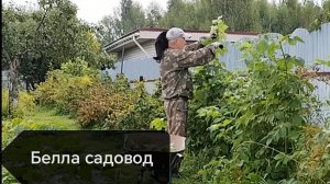 Белла решила нам помочь))) 08-08-2026