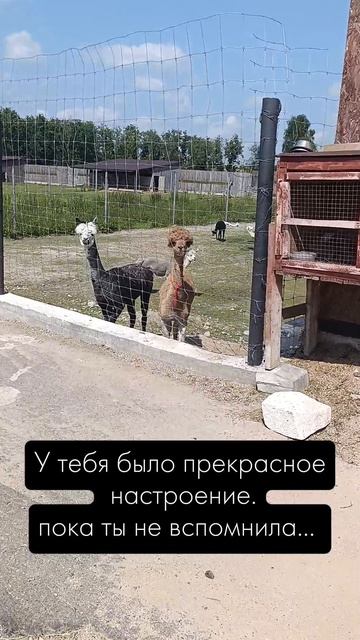 упс