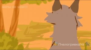 ТОП 10 МОИХ ЛЮБИМЫХ КОТОВ-ВОИТЕЛЕЙ❗