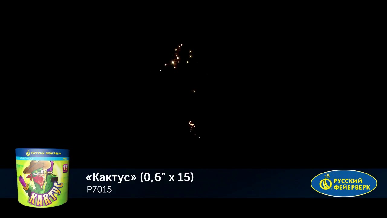 P7015 Кактус 06х15